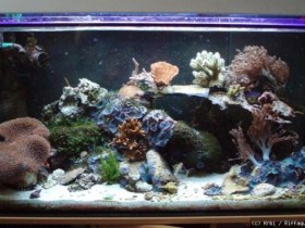 Mein 200 l Becken nach 6 Monaten