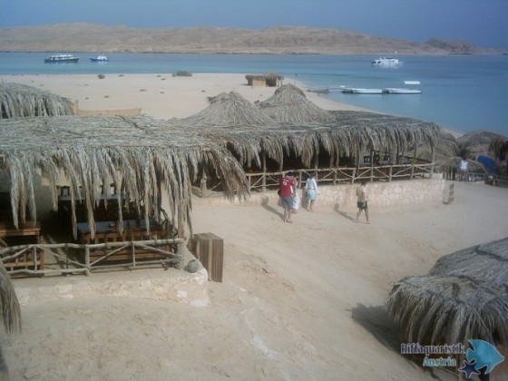 PICT0120.JPG