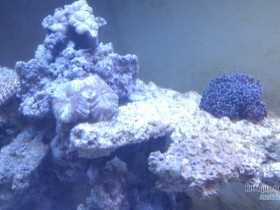 IMAG0116.jpg