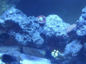 IMAG0111.jpg