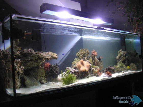 PICT0020.JPG