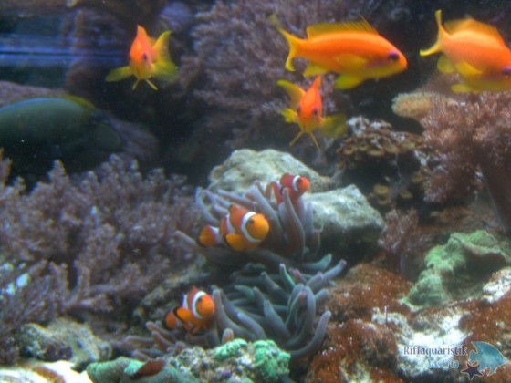BILD0047.JPG