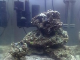 Mein 30l Dennerle