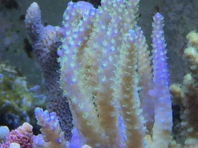 IMG_0448.jpg