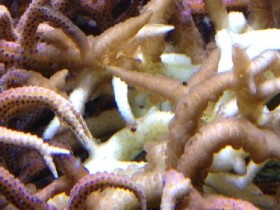 IMG_0885.JPG