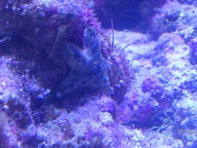 DSC_0387.JPG