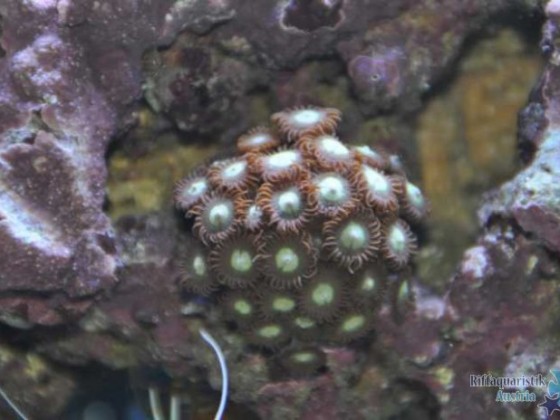 K640_DSC_0844.JPG