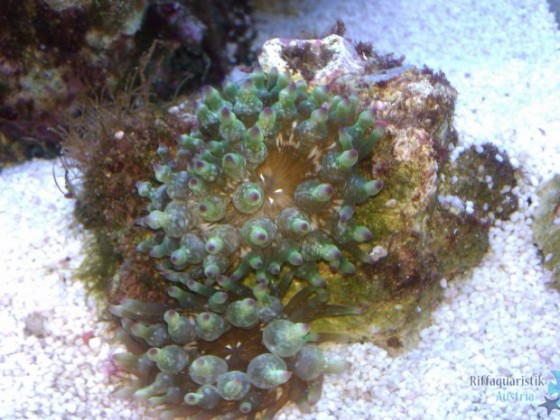 IMAG0119.jpg