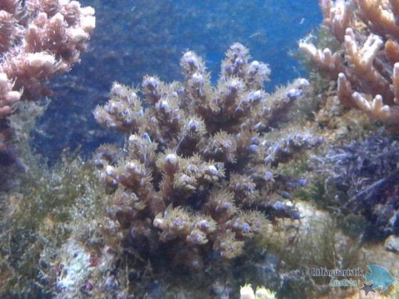 2012-03-03 18.58.45.jpg