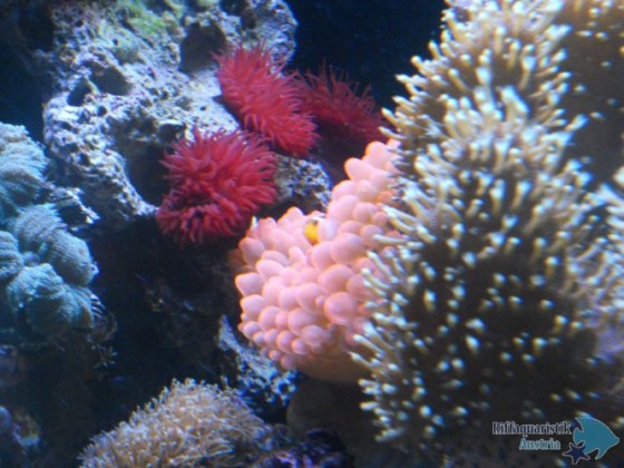 DSCN3041.JPG