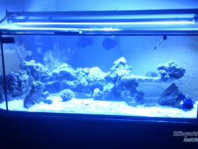IMAG0109.jpg