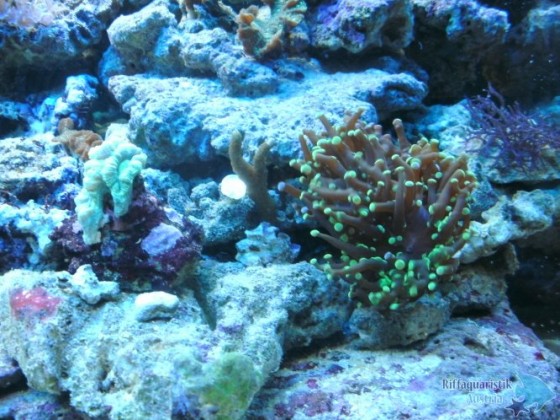 BILD0483.JPG