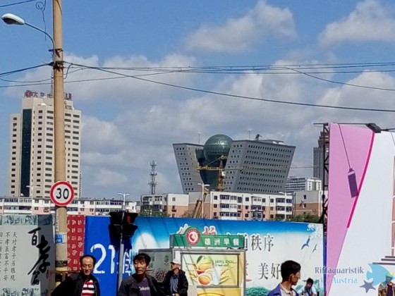 P50912-123114.jpg