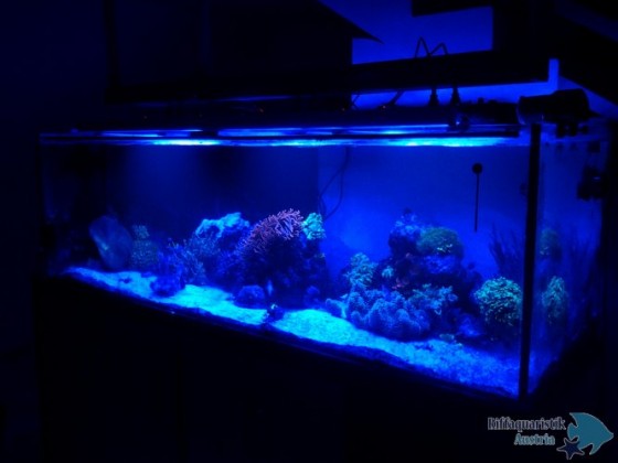20130312_192148.jpg