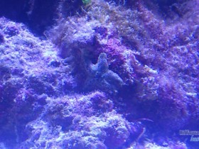 DSC_0386.JPG