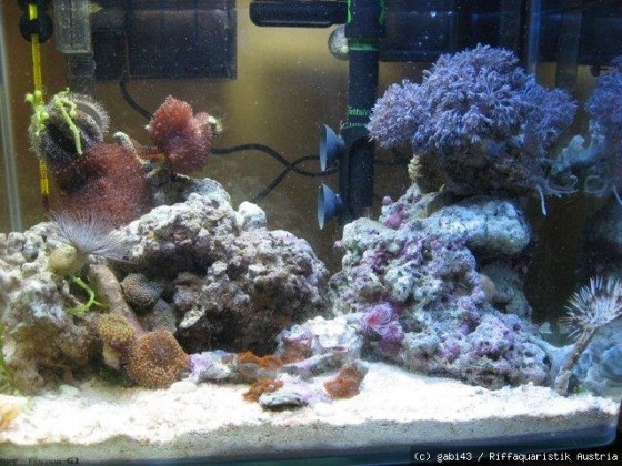 nano2