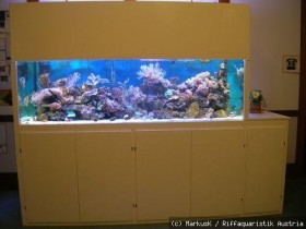 Aquarium im Haus der Senioren Völs