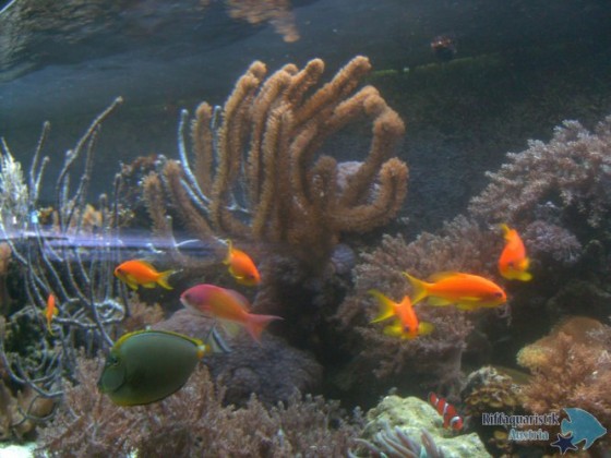 BILD0045.JPG