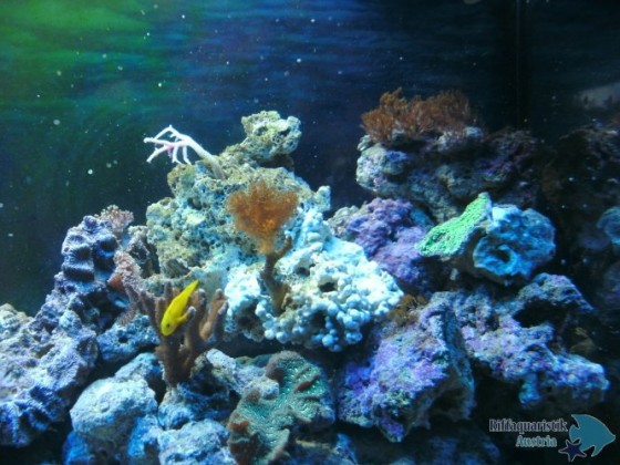 BILD0484.JPG