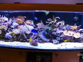 aquarium.jpg
