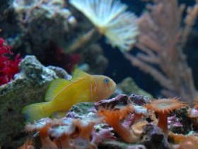 DSC_0156.JPG
