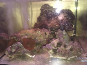 IMAG0437.jpg