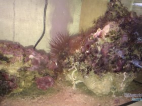 IMAG0438.jpg