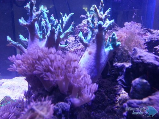20140718_112555.jpg