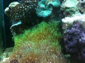 IMG_0478.jpg