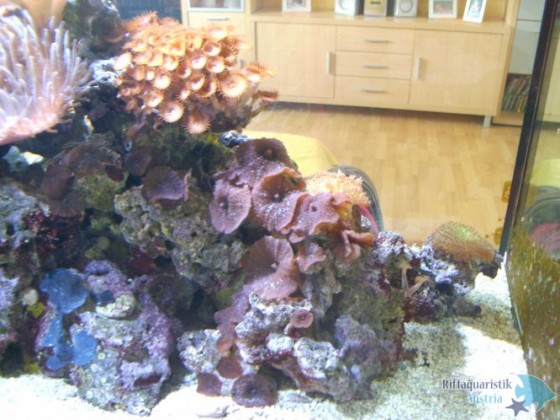 BILD1199.JPG