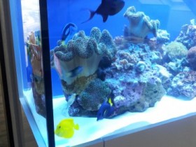 Mein Neues:-)
