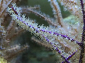 IMG_1614.jpg