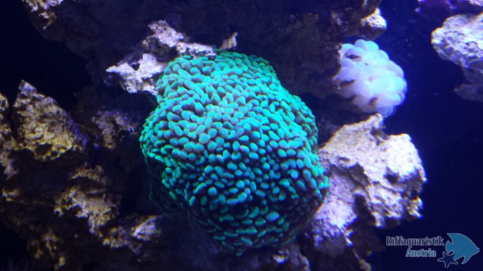 20140216_160600.jpg