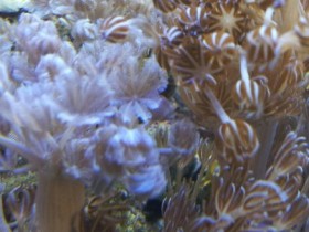 20130131_173911-1.jpg