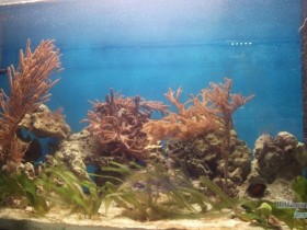 Becken 3 KG