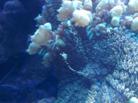IMAG0652.jpg