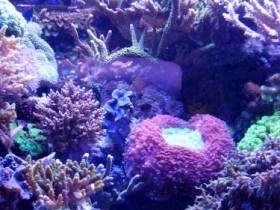 Okt. 2011 10.jpg
