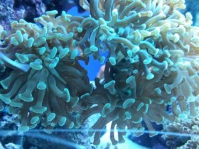 20131231_194357.jpg
