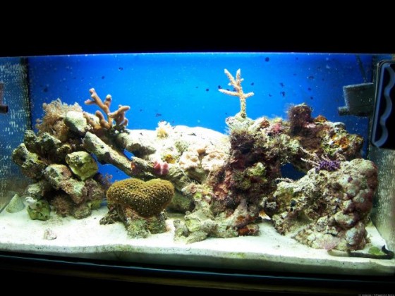 aqua54l_1