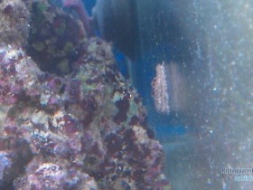 IMAG0734.jpg