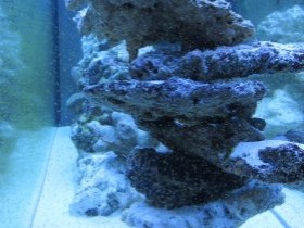 Meerwasser 2.0 Riffsäule Marke "Eigenbau"