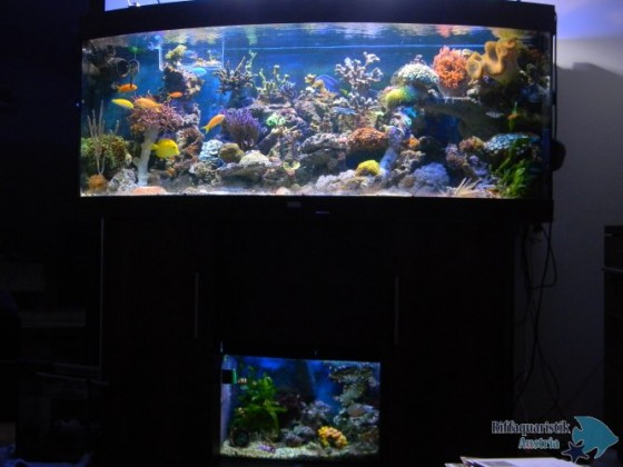 DSCN2726.JPG