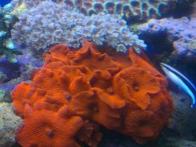 IMAG0667.jpg
