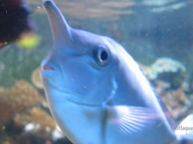 IMG_3445.JPG