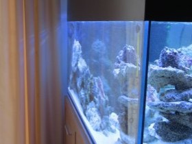 Meerwasser 2.0