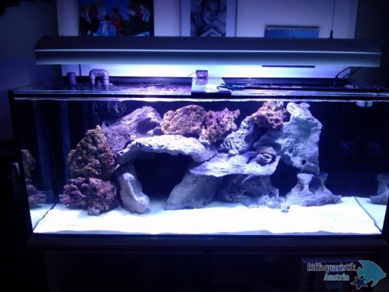 Mein neues MW-Becken