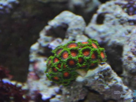 K640_DSC_0843.JPG