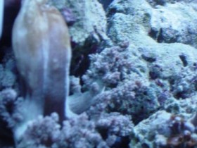 DSC00035.JPG