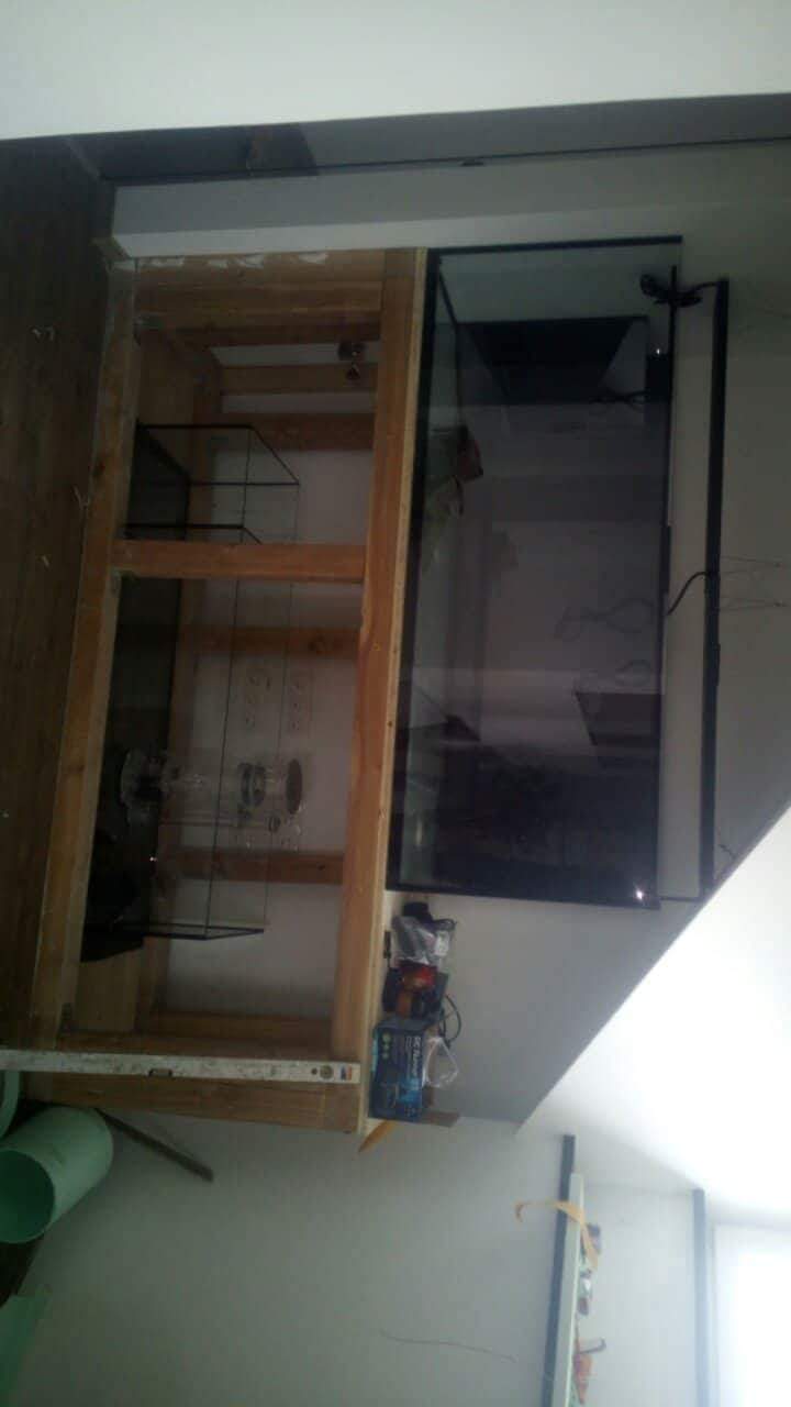 Mein neues Becken (180x70x70) ensteht schon langsam