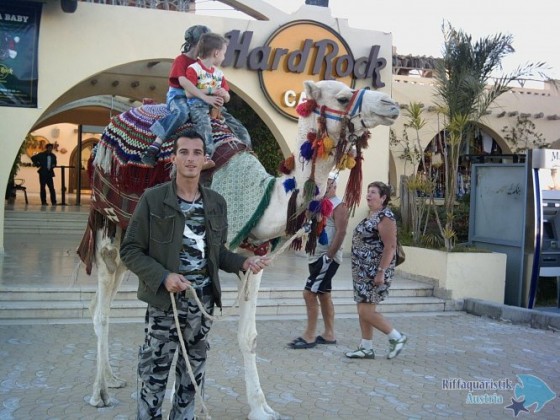 PICT0014.JPG